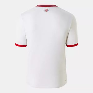 24-25 Lille OSC Mens 80 Year Anniversary Soccer Jersey