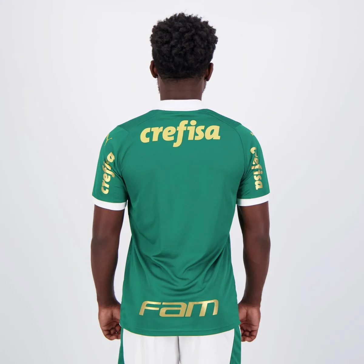 24-25 Palmeiras Mens Brazilian Champion Patch Home Jersey